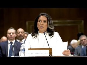 Read more about the article Tulsi Gabbard Shakes Up Senate Hearing with Bold Opening Remarks