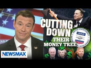 Read more about the article Elon Exposes Democrats’ Tax Dollar Schemes with USAID Shutdown