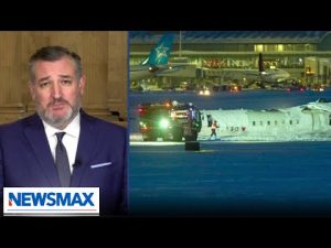 Read more about the article Ted Cruz Calls for Investigation Into Rising Plane Accidents