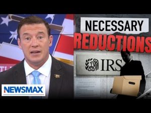 Read more about the article Carl Higbie Exposes the ‘Bloated Fat Pig’ Government Cuts